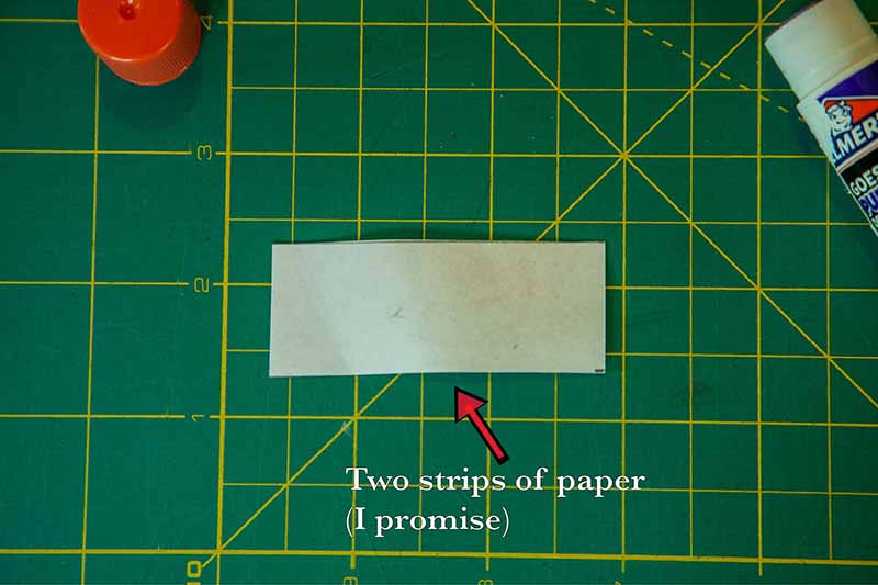 sandwich two strips of paper