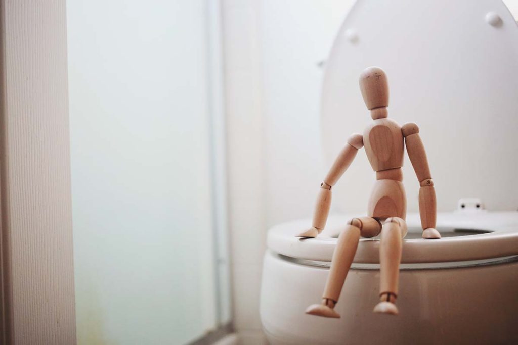 Wooden figurine on a toilet
