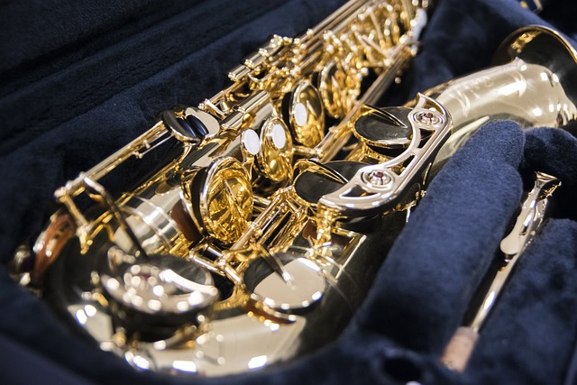 Saxophone in a case