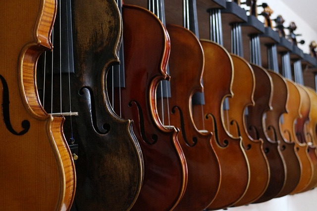A row of hanging violins